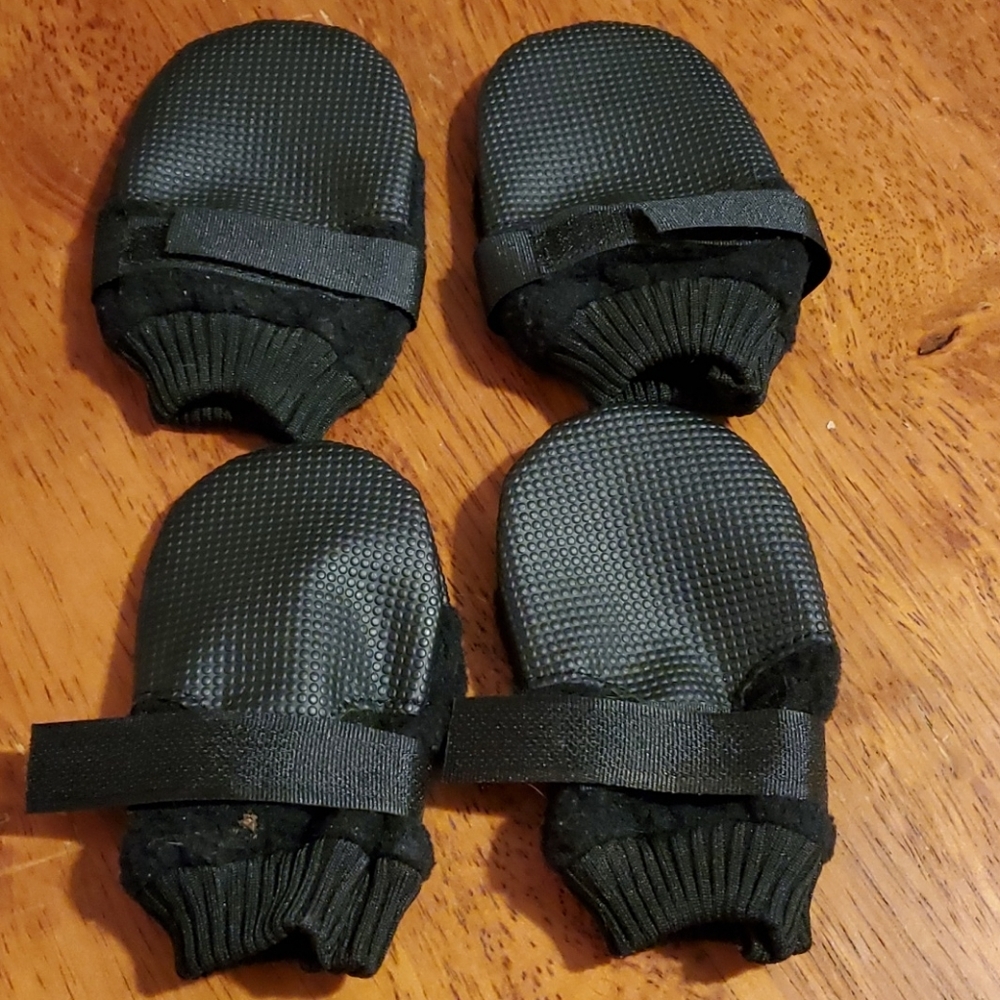 Dog shoes and vest
